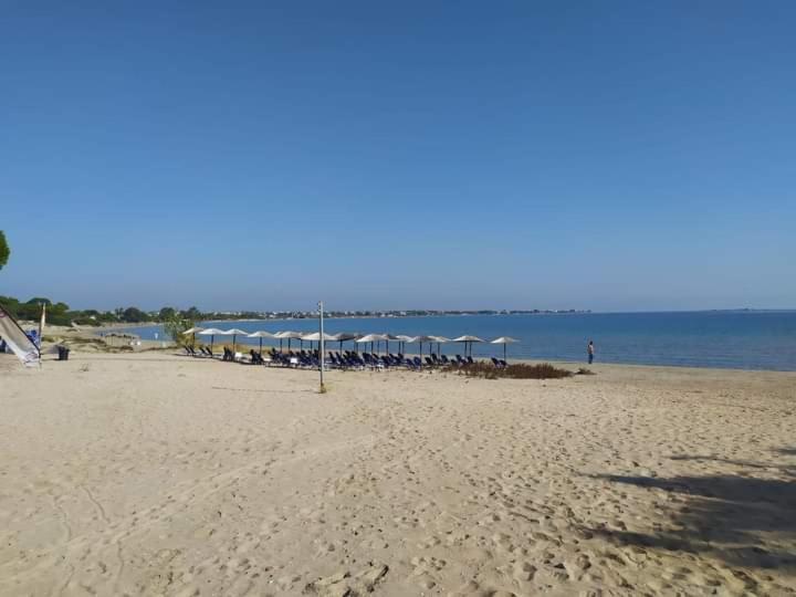 Άνετο Διαμέρισμα Artemida  Rum bild